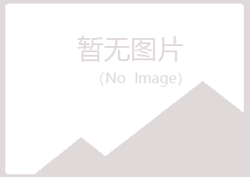 保山冰夏会计有限公司